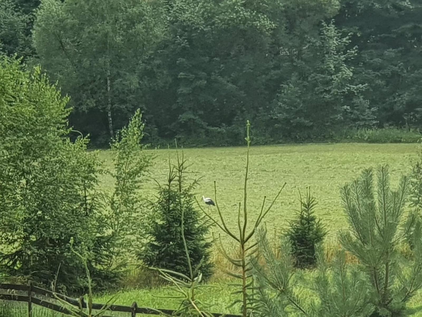 Vila Wellness-Beskydy Prostřední Bečva Exteriér fotografie