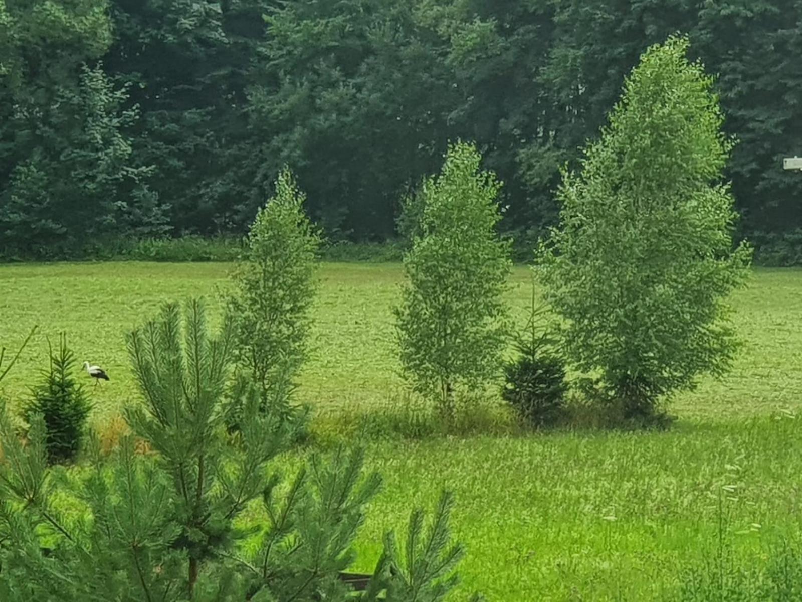 Hotel Wellness-Beskydy Prostřední Bečva Exteriér fotografie