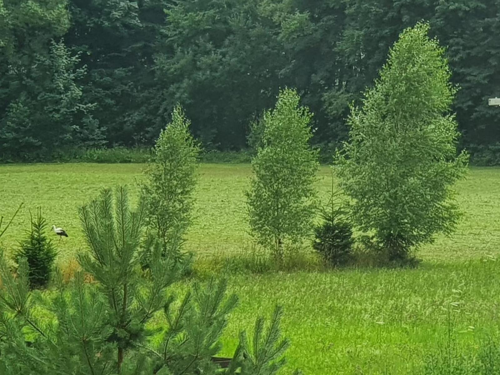 Vila Wellness-Beskydy Prostřední Bečva Exteriér fotografie